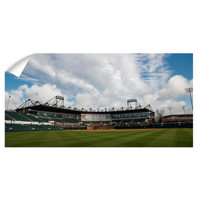 Alabama Crimson Tide - Sewell-Thomas Stadium Panoramic - College Wall Art #Wall Decal