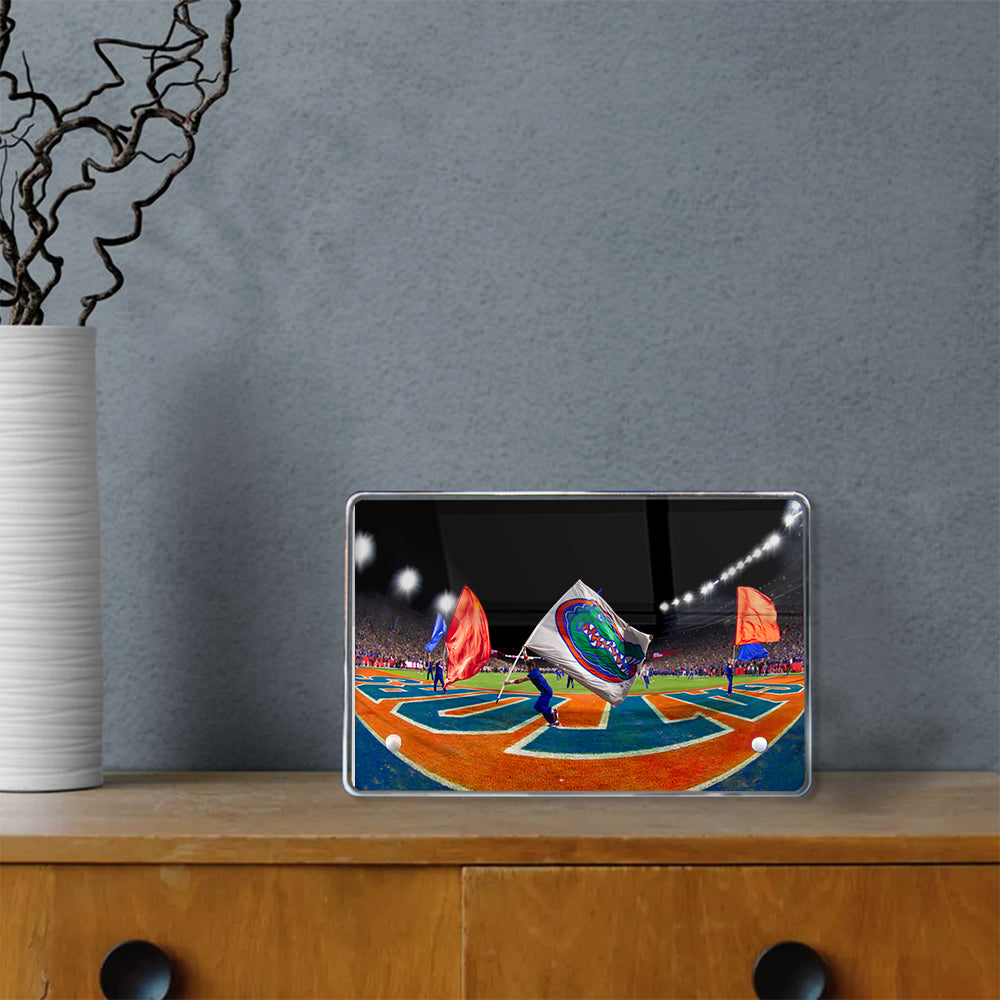 Florida Gators - Go Gators - College Wall Art #Acrylic Mini