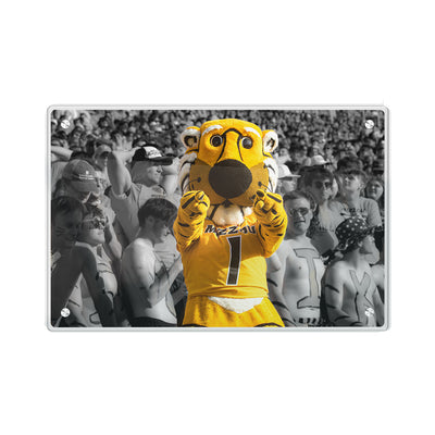 Missouri Tigers - Truman - College Wall Art #Acrylic