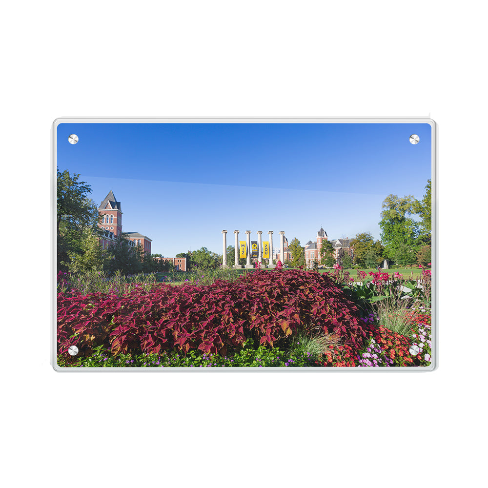 Missouri Tigers - Campus Beauty - College Wall Art #Acrylic