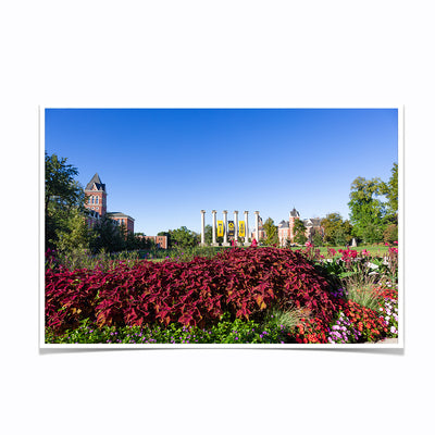 Missouri Tigers - Campus Beauty - College Wall Art #Poster