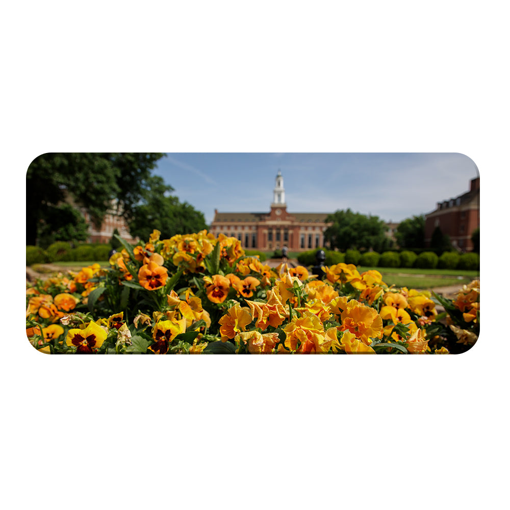 Oklahoma State Cowboys - Spring Flowers - College Wall Art #PVC