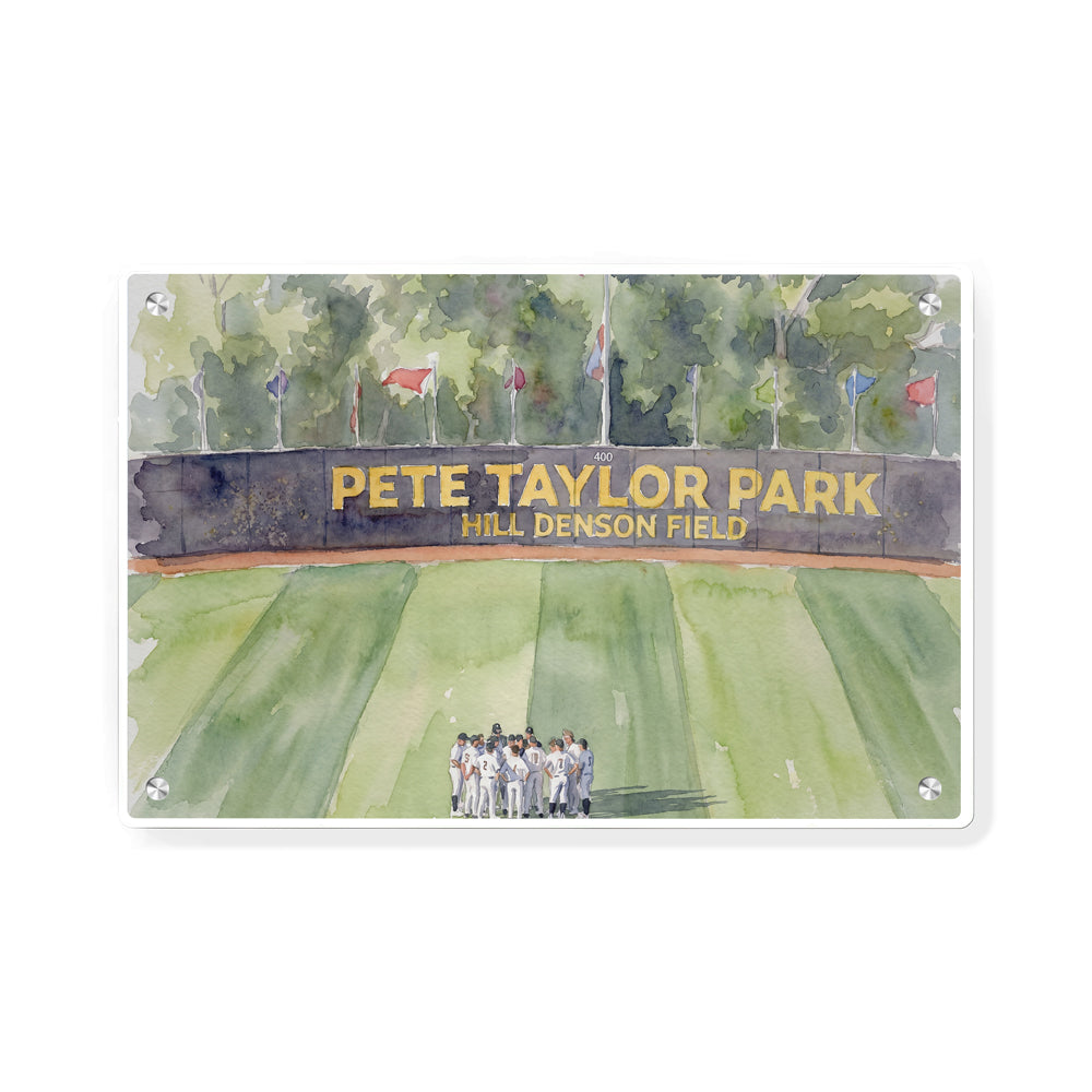 Southern Miss Golden Eagles - Pete Taylor Park Watercolor - College Wall Art #Metal