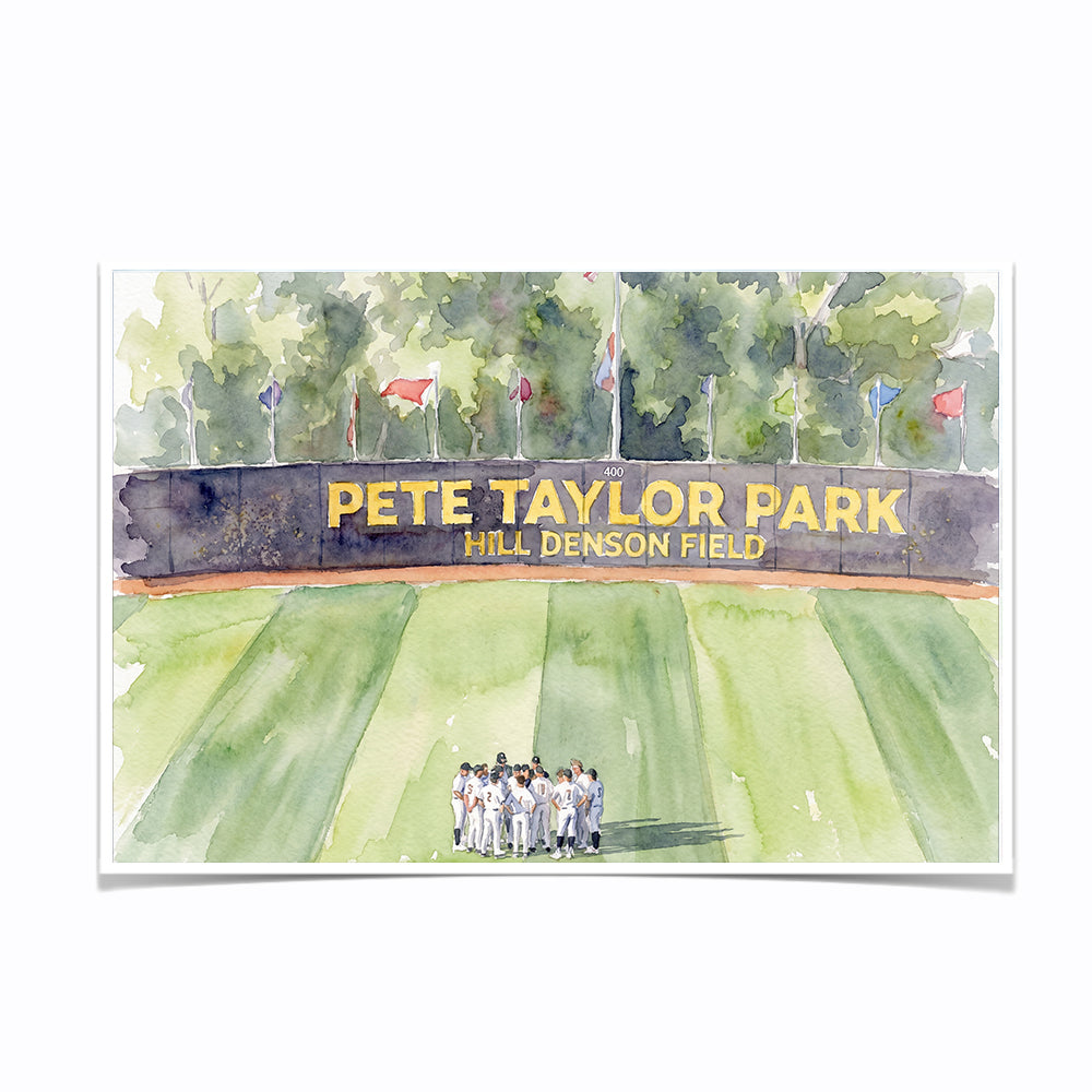 Southern Miss Golden Eagles - Pete Taylor Park Watercolor - College Wall Art #Photo Posters