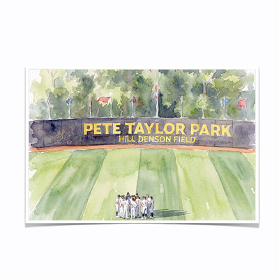 Southern Miss Golden Eagles - Pete Taylor Park Watercolor - College Wall Art #Photo Posters
