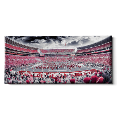 Alabama Crimson Tide - Bryant Denny Monochrome Pano - College Wall Art #Canvas