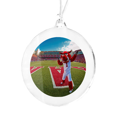 Arkansas Razorbacks - Big Red End Zone Ornament & Bag Tag