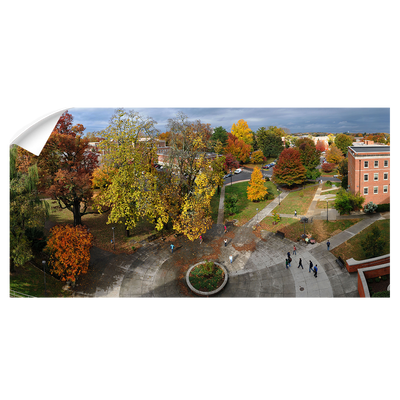 ETSU - Autumn Aerial Panoramic - College Wall Art #Wall Decal