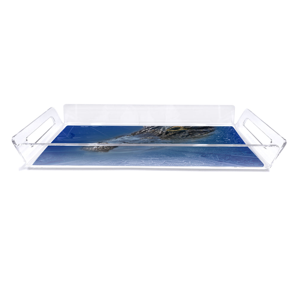 Florida Gators - Gator Swamp Decorative Serving Tray