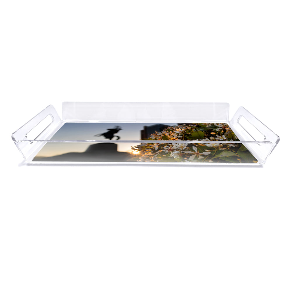 Florida State Seminoles - Unconquered Sunset Decorative Tray