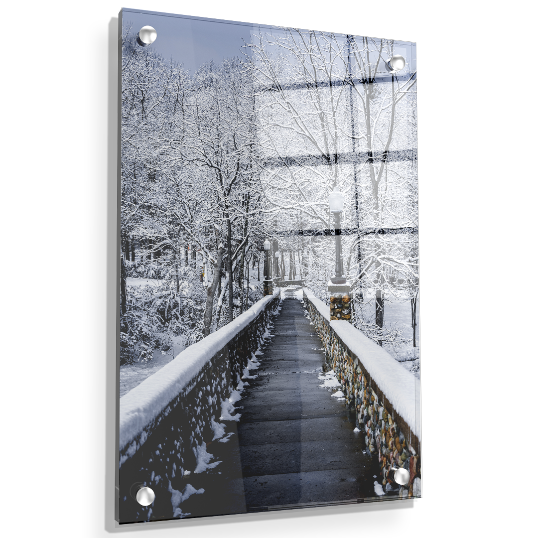 Winter Bridge - College Wall Art#Acrylic