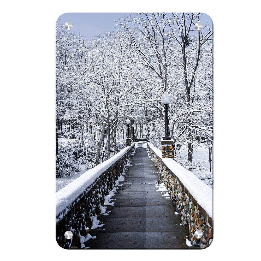 Winter Bridge - College Wall Art#Metal