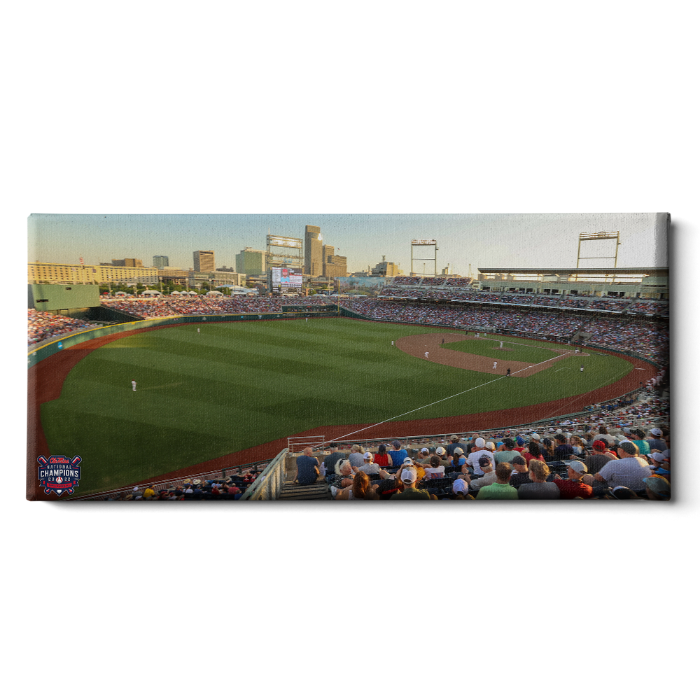 Ole Miss Rebels - Charles Schwab Aerial Panoramic - College Wall Art #Canvas