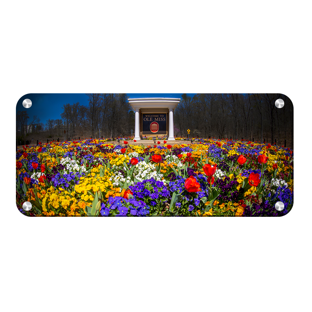 Ole Miss Rebels - Welcome to Ole Miss Spring Flowers - College Wall Art #Metal