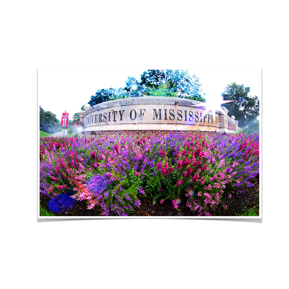 Ole Miss Rebels - University of Mississippi - College Wall Art #Poster