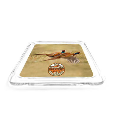 South Dakota State Jackrabbits - Pheasant state Pheasant Drink Coaster