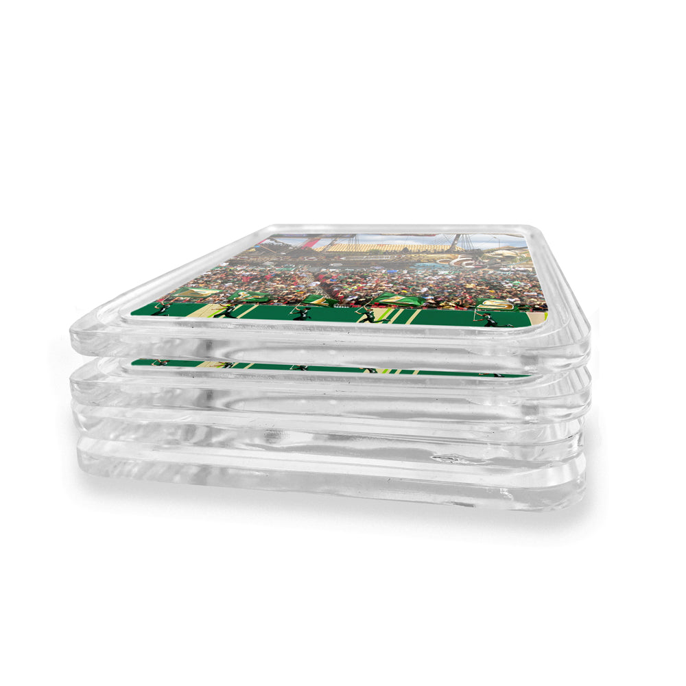 USF Bulls - Bulls in Ray Jay Drink Coaster