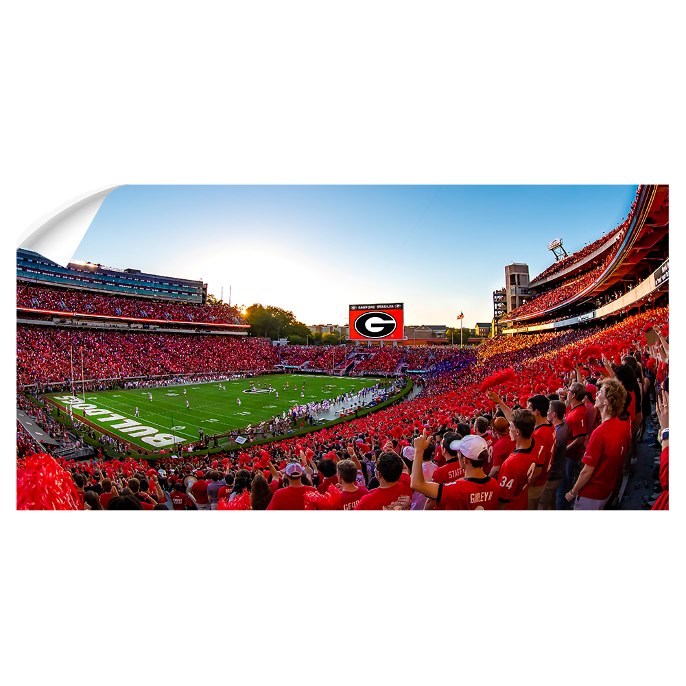 Georgia Bulldogs - Gooooo Georgia Panoramic - College Wall Art #Wall Decal