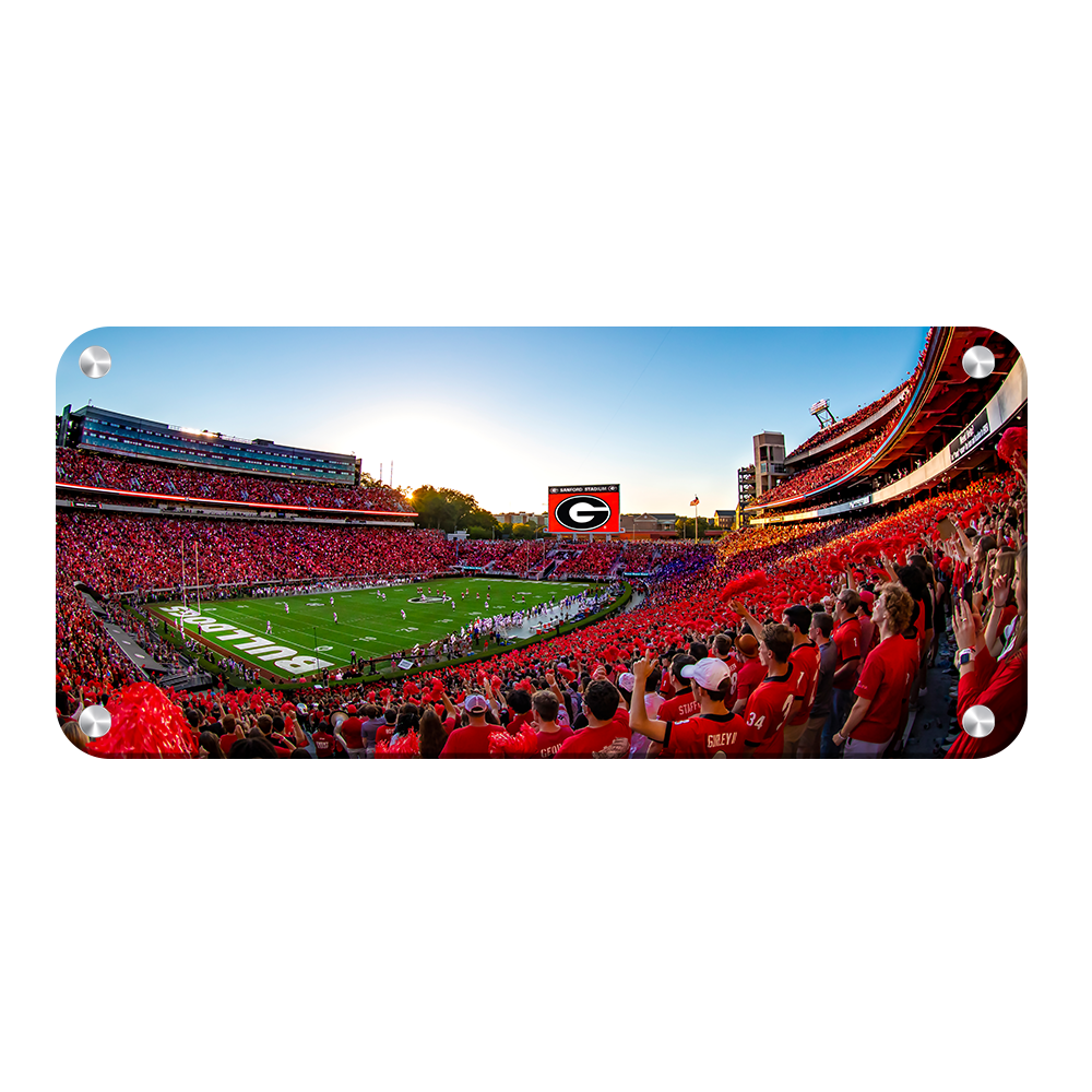 Georgia Bulldogs - Gooooo Georgia Panoramic - College Wall Art #Metal