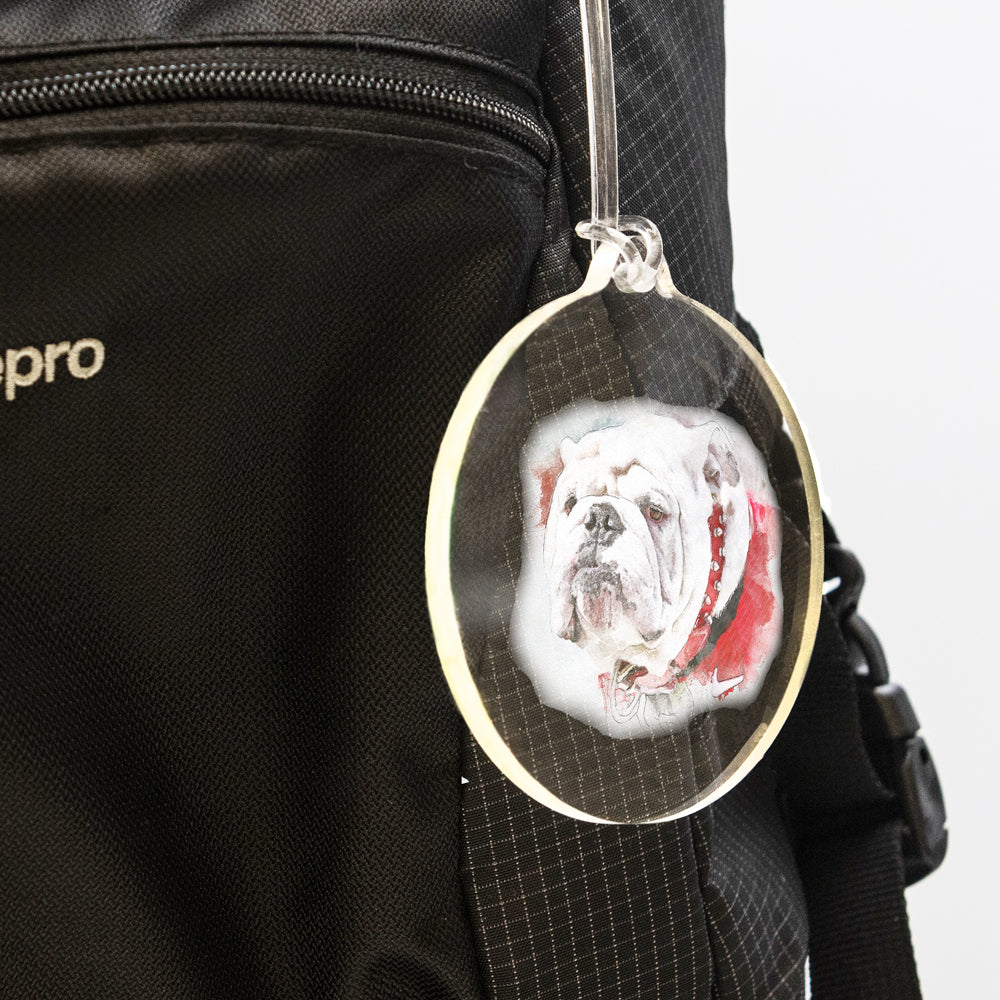 Georgia Bulldogs - Uga Paint Ornament & Bag Tag
