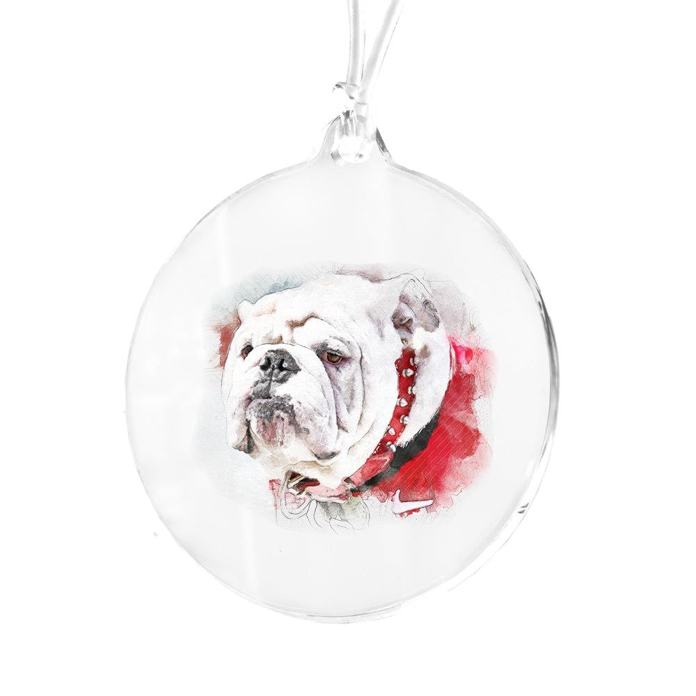 Georgia Bulldogs - Uga Paint Ornament & Bag Tag