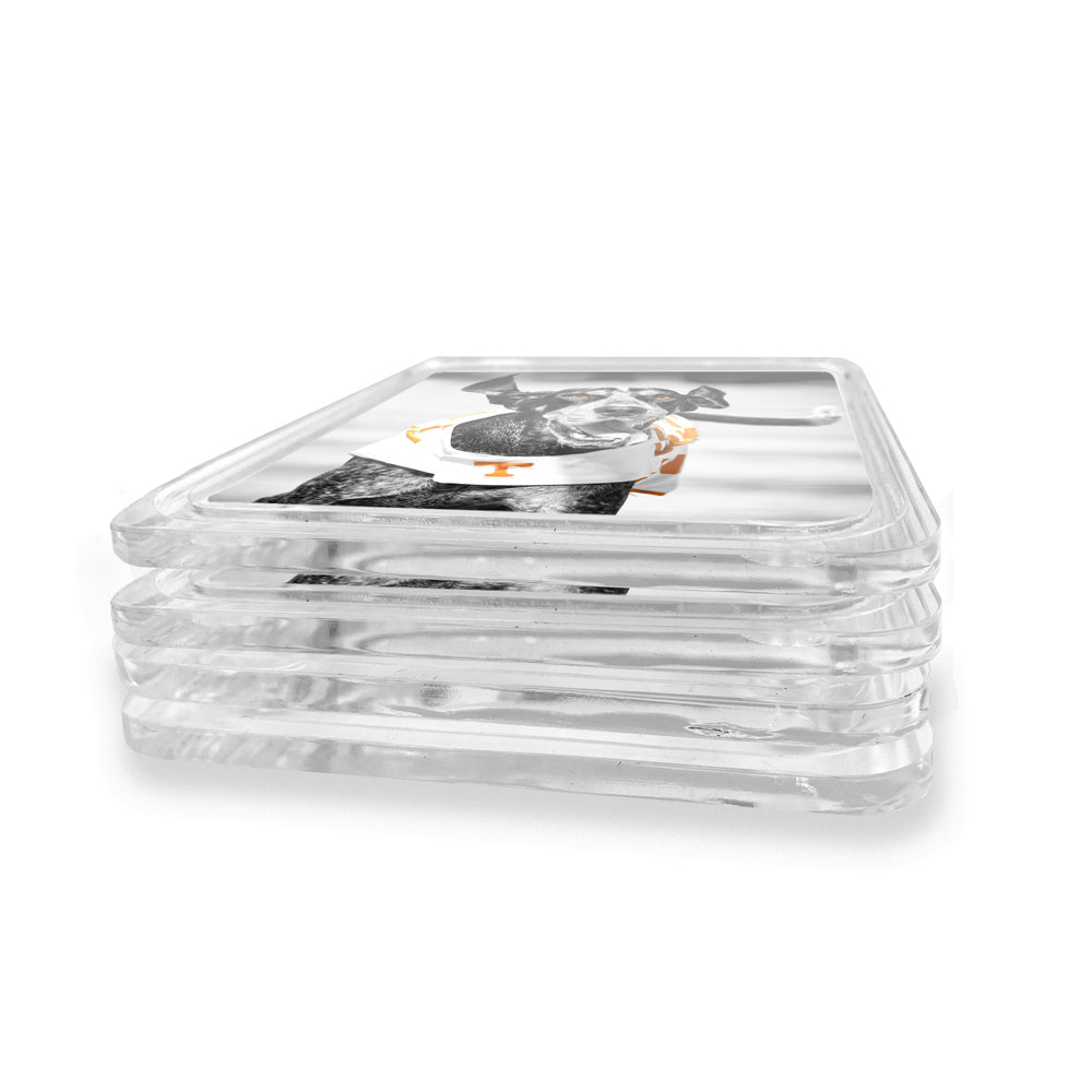 Tennessee Volunteers - Smokey TD Drink Coaster