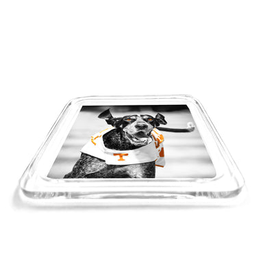 Tennessee Volunteers - Smokey TD Drink Coaster