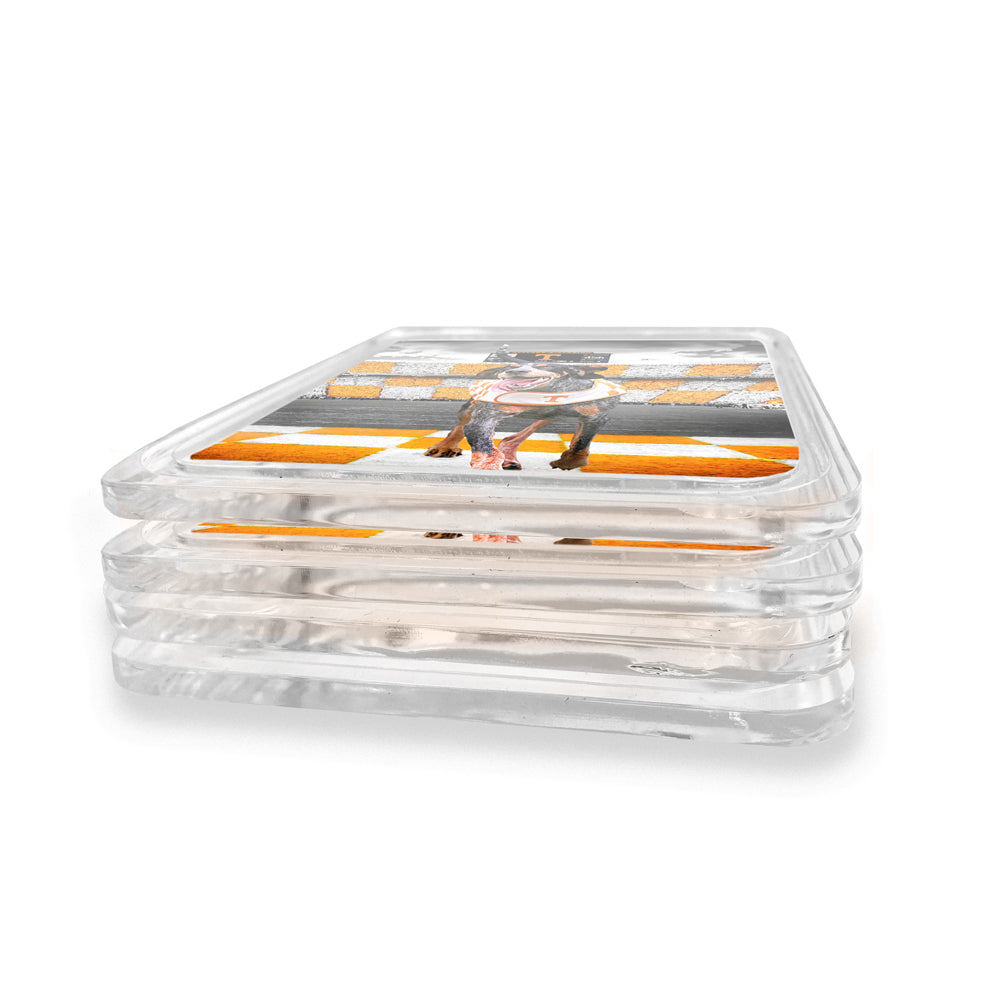 Tennessee Volunteers - Smokey's Backyard Drink Coaster