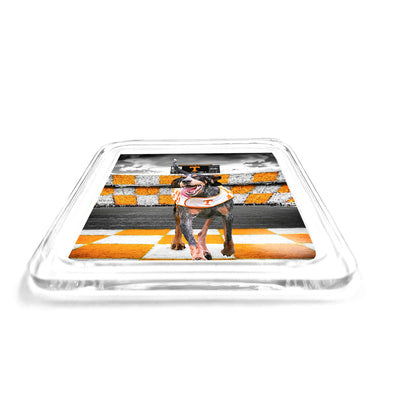 Tennessee Volunteers - Smokey's Backyard Drink Coaster