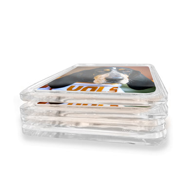 Tennessee Volunteers - Smokey Vols 2 Drink Coaster