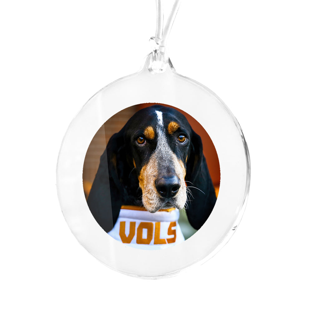 Tennessee Volunteers - Smokey Vols Ornament & Bag Tag