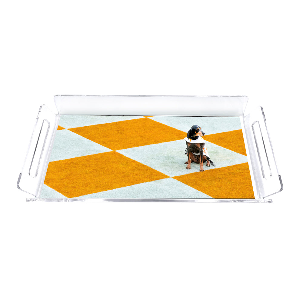 Tennessee Volunteers - Checkerboard Smokey Decorative Serving Tray