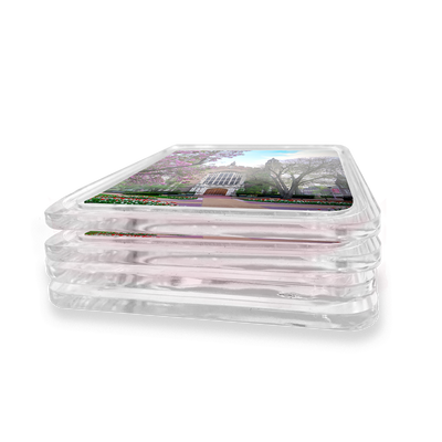 WashU - Cherry Blossoms Drink Coaster