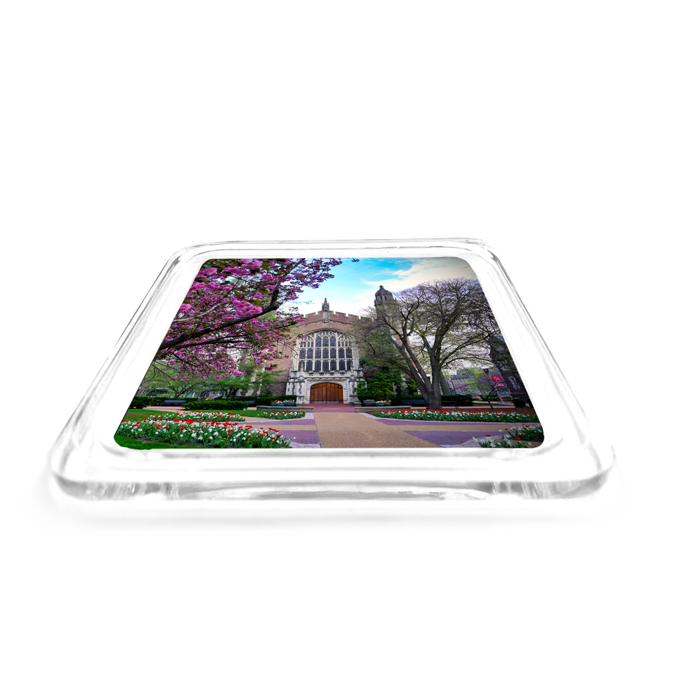 WashU - Cherry Blossoms Drink Coaster