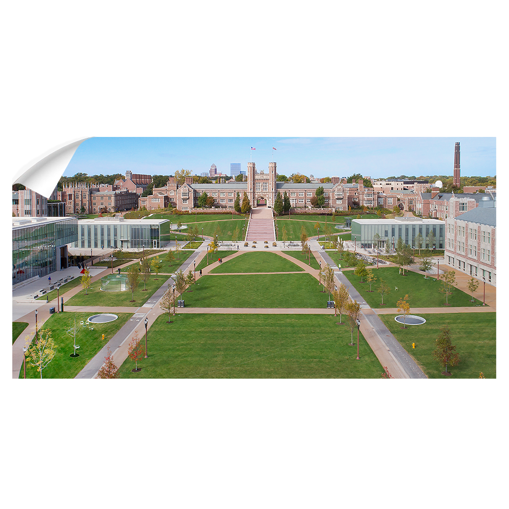 Washington University Bears - Washington U Aerial Panoramic - College Wall Art #Wall Decal