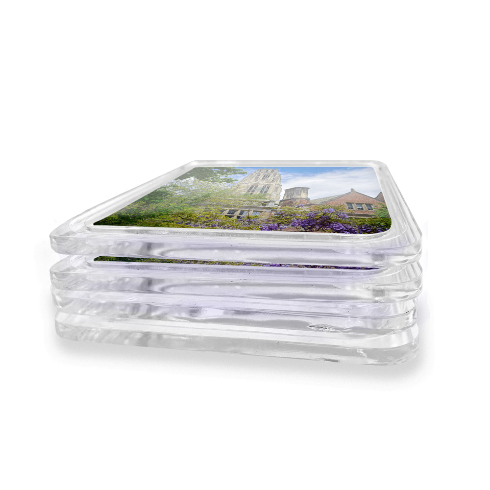 Yale Bulldogs - Springtime Harkness Tower Drink Coaster