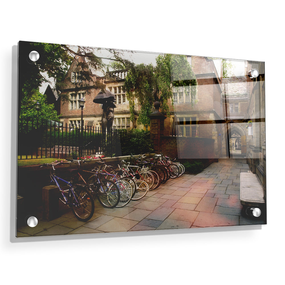 Yale Bulldogs - Bikes on Campus - College Wall Art #Acrylic