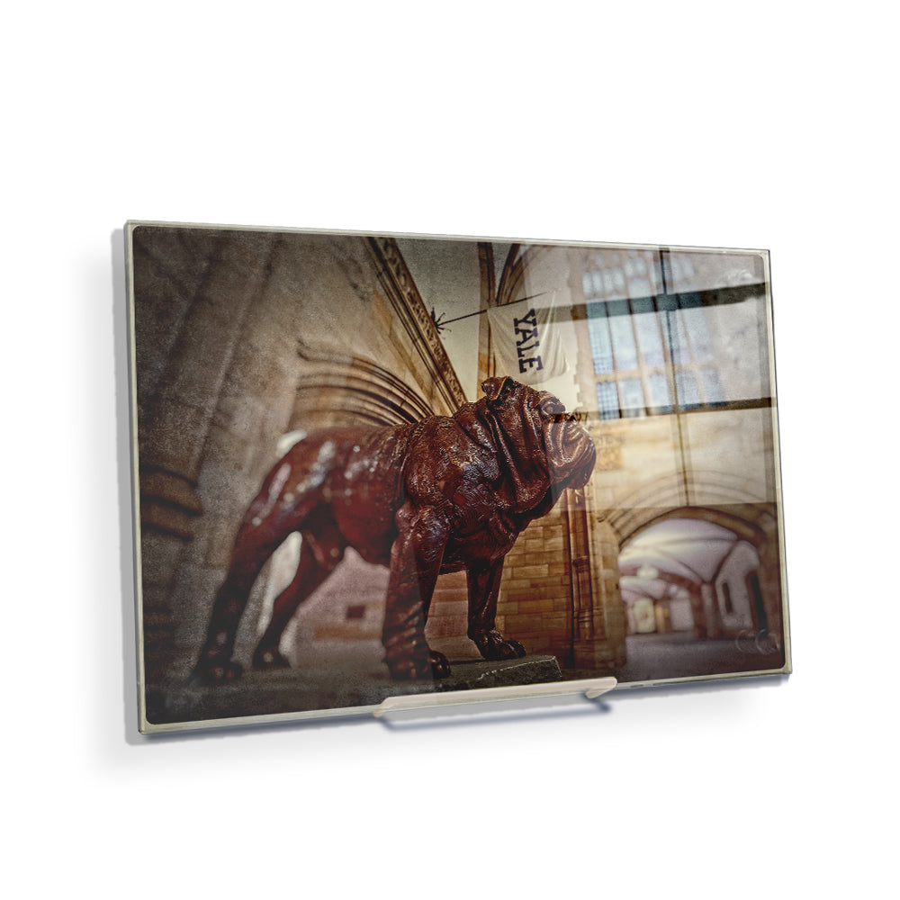 Yale Bulldogs - Yale's Hansome Dan - College Wall Art #Acrylic Mini
