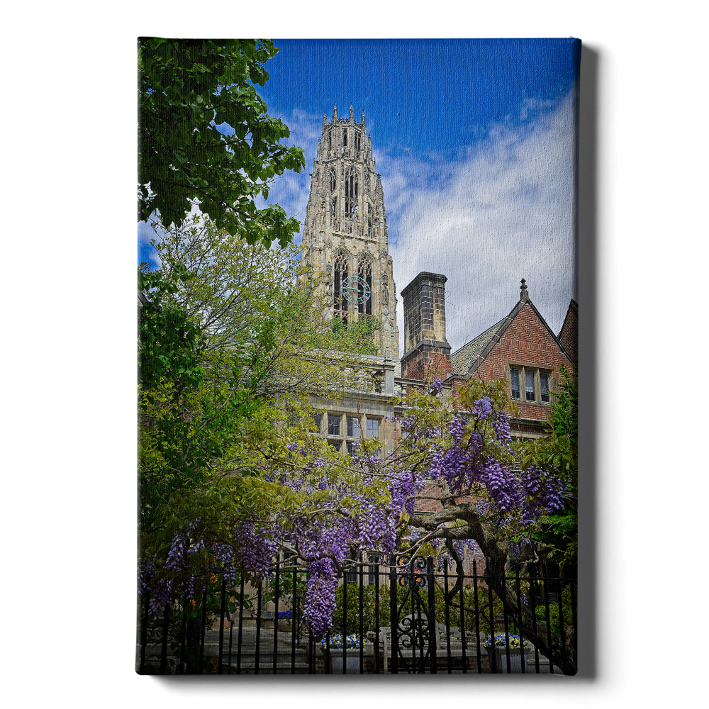 Yale Bulldogs - Springtime Harkness Tower - College Wall Art #Canvas