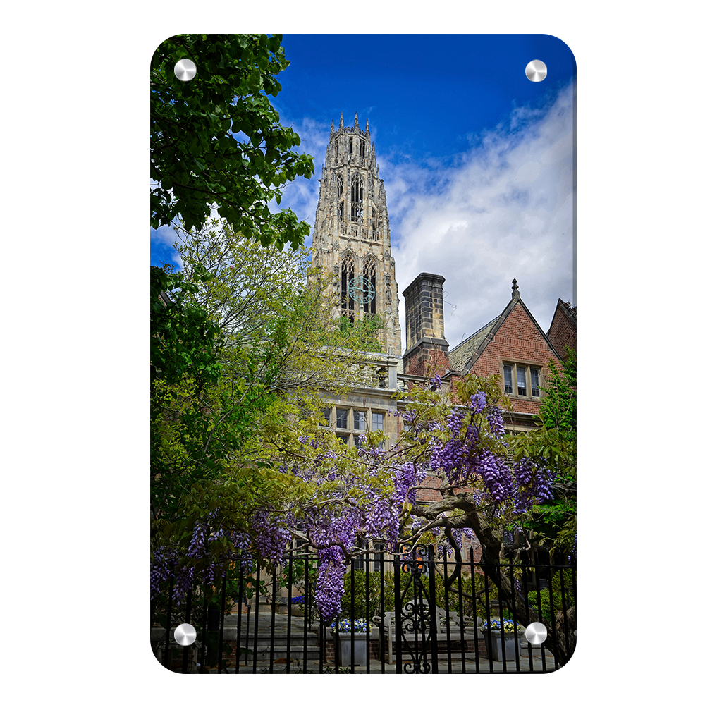 Yale Bulldogs - Springtime Harkness Tower - College Wall Art #Metal