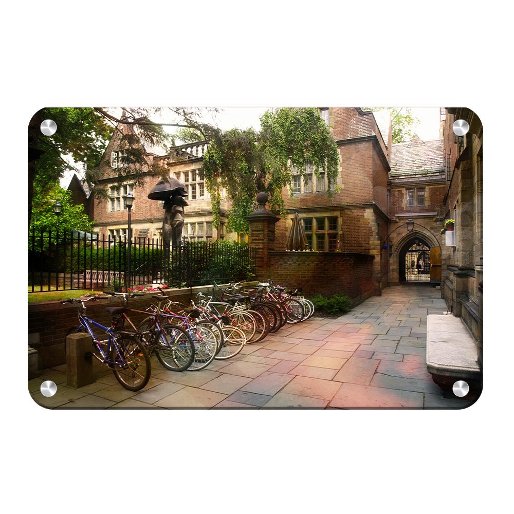 Yale Bulldogs - Bikes on Campus - College Wall Art #Metal
