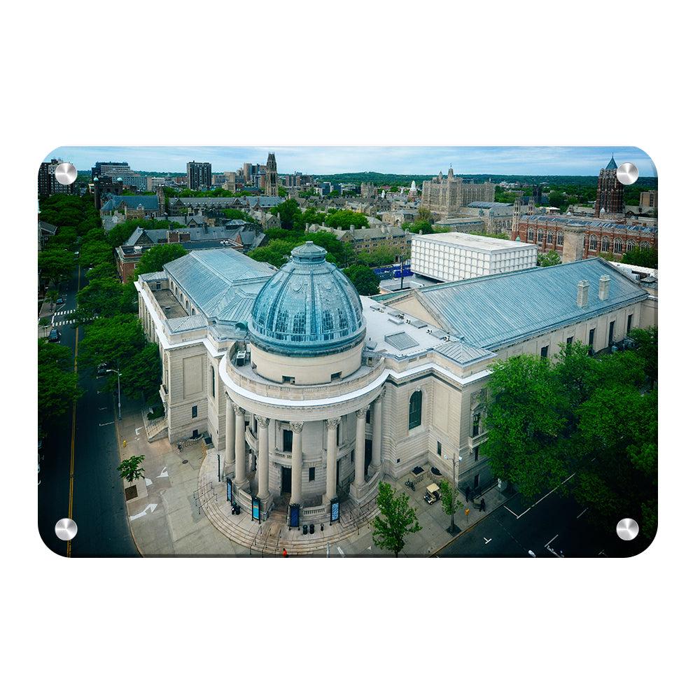 Yale Bulldogs - Woolsey Hall Aerial - College Wall Art #Metal
