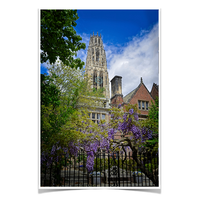 Yale Bulldogs - Springtime Harkness Tower - College Wall Art #Poster