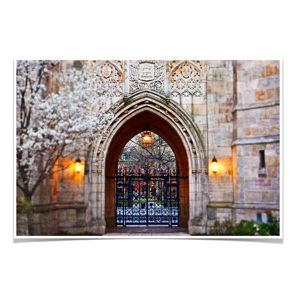 Yale Bulldogs - Harkness Memorial Gate - College Wall Art #Poster
