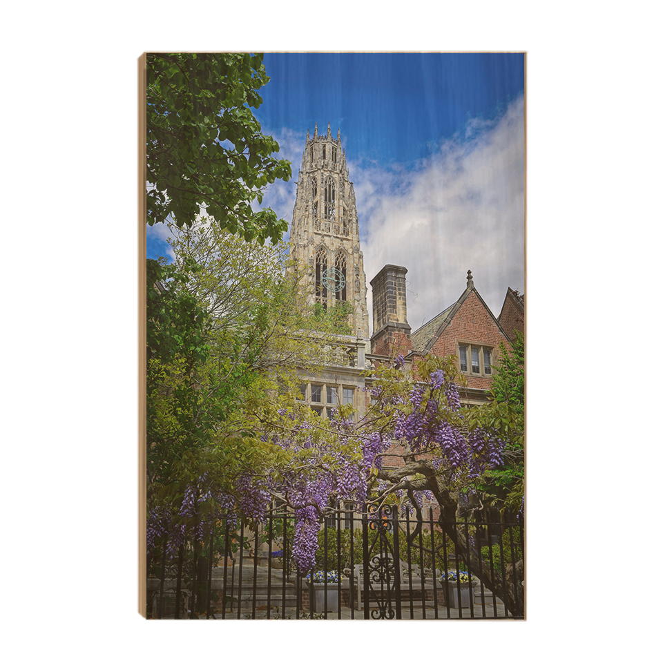Yale Bulldogs - Springtime Harkness Tower - College Wall Art #Wood