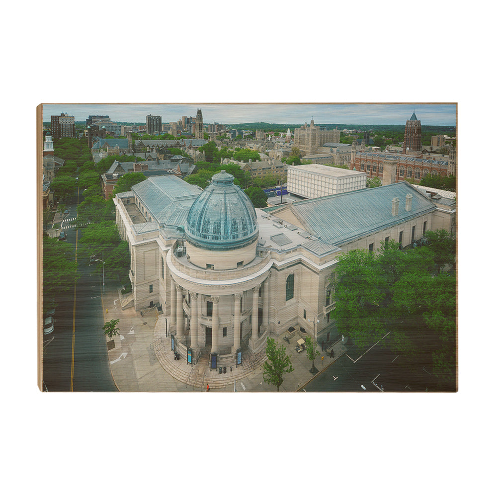 Yale Bulldogs - Woolsey Hall Aerial - College Wall Art #Wood