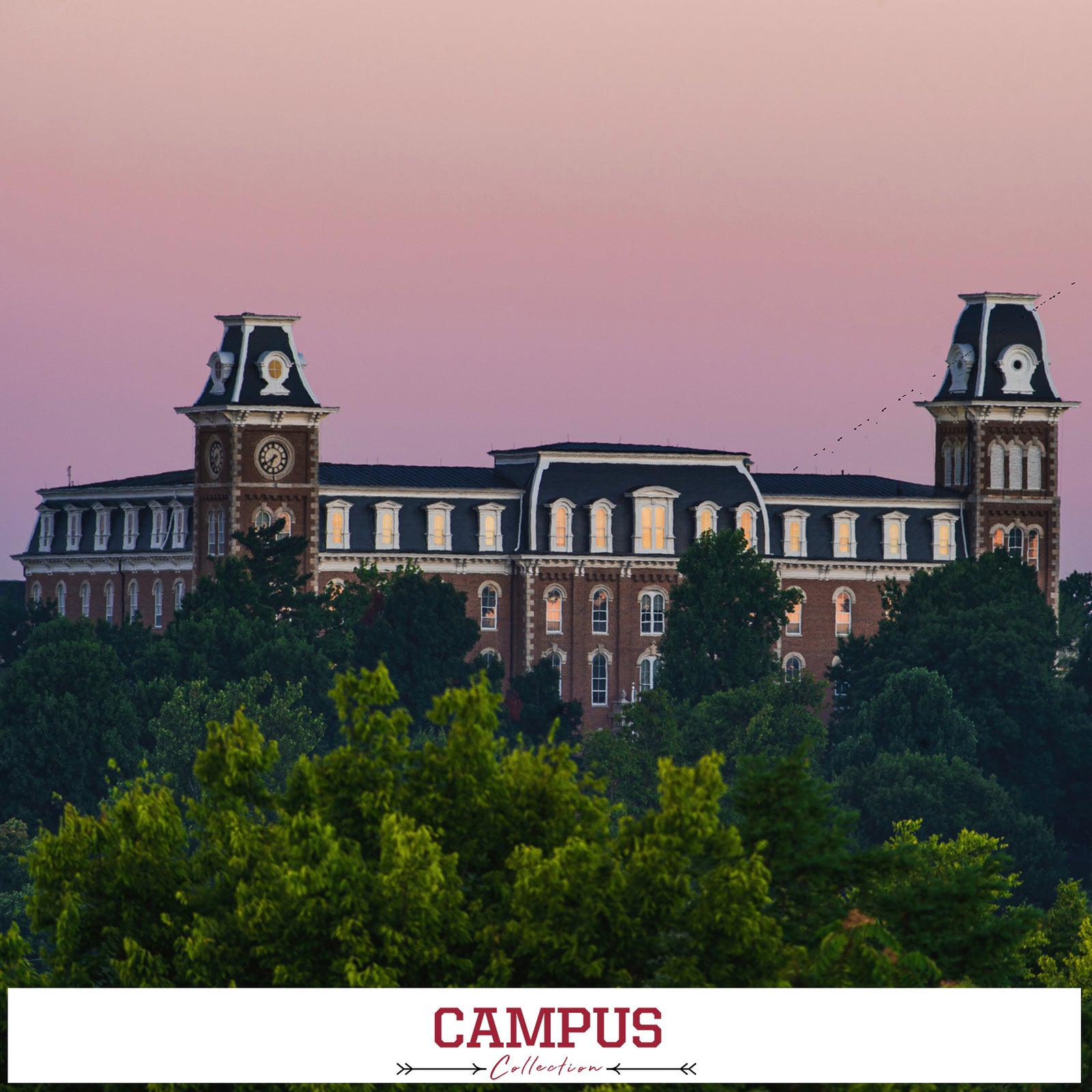 ARKANSAS RAZORBACKS - CAMPUS