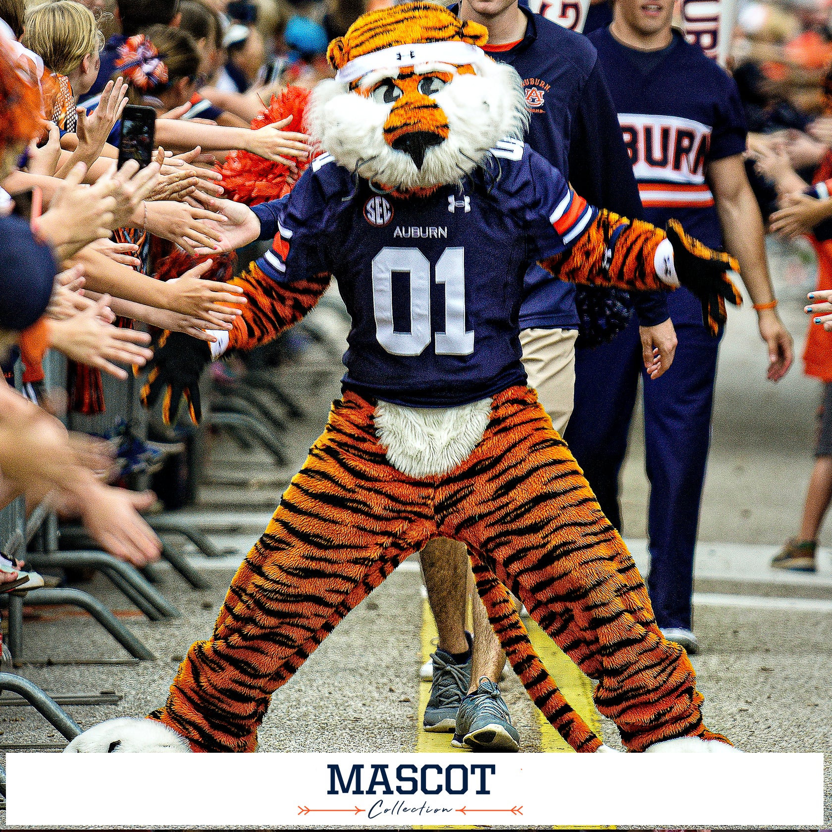 Auburn Tigers - Mascot Collection