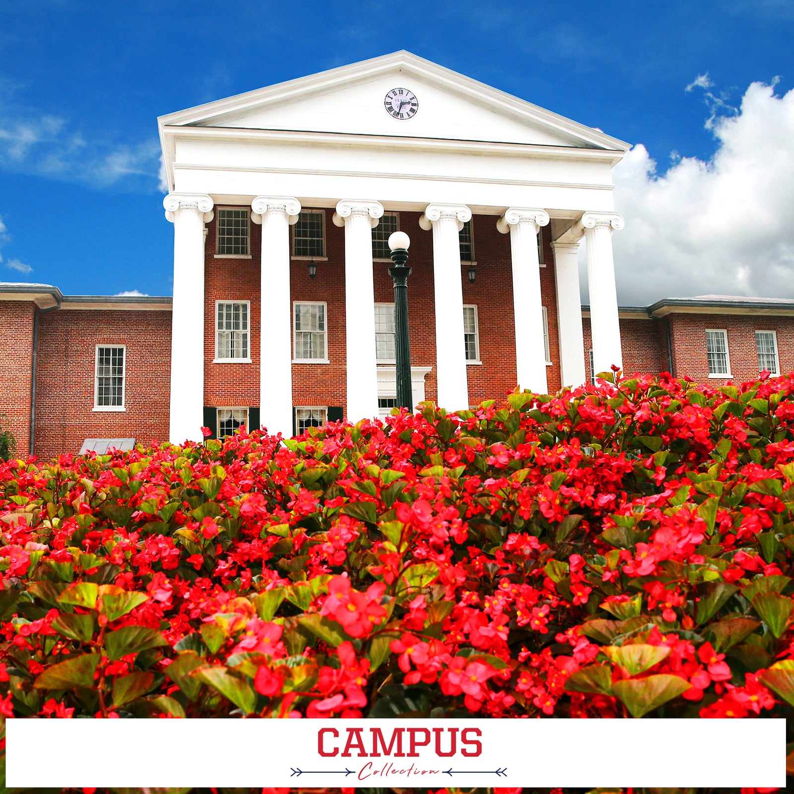 Ole Miss Rebels - Campus Images Wall Art - Available as Canvas, Wood, Poster, Metal, Acrylic, Peel and Stick and PVC