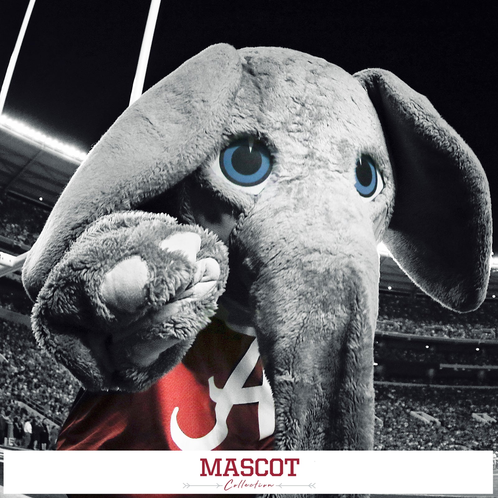 Alabama Crimson Tide - Mascot Collection Photo Prints